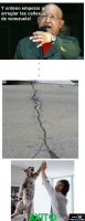 /album/fotogaleria/l-45746-png/